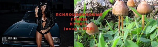соль курить ск Алексеевка