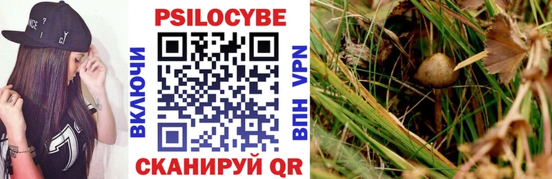сколько стоит  гидра tor  Галлюциногенные грибы GOLDEN TEACHER  Талдом 